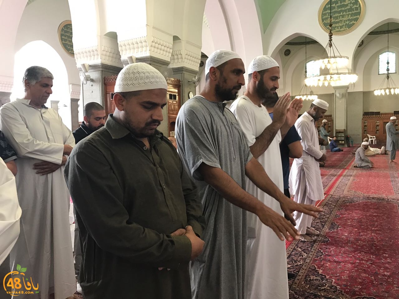 mo3tmren yaffa 0033 (37).jpg